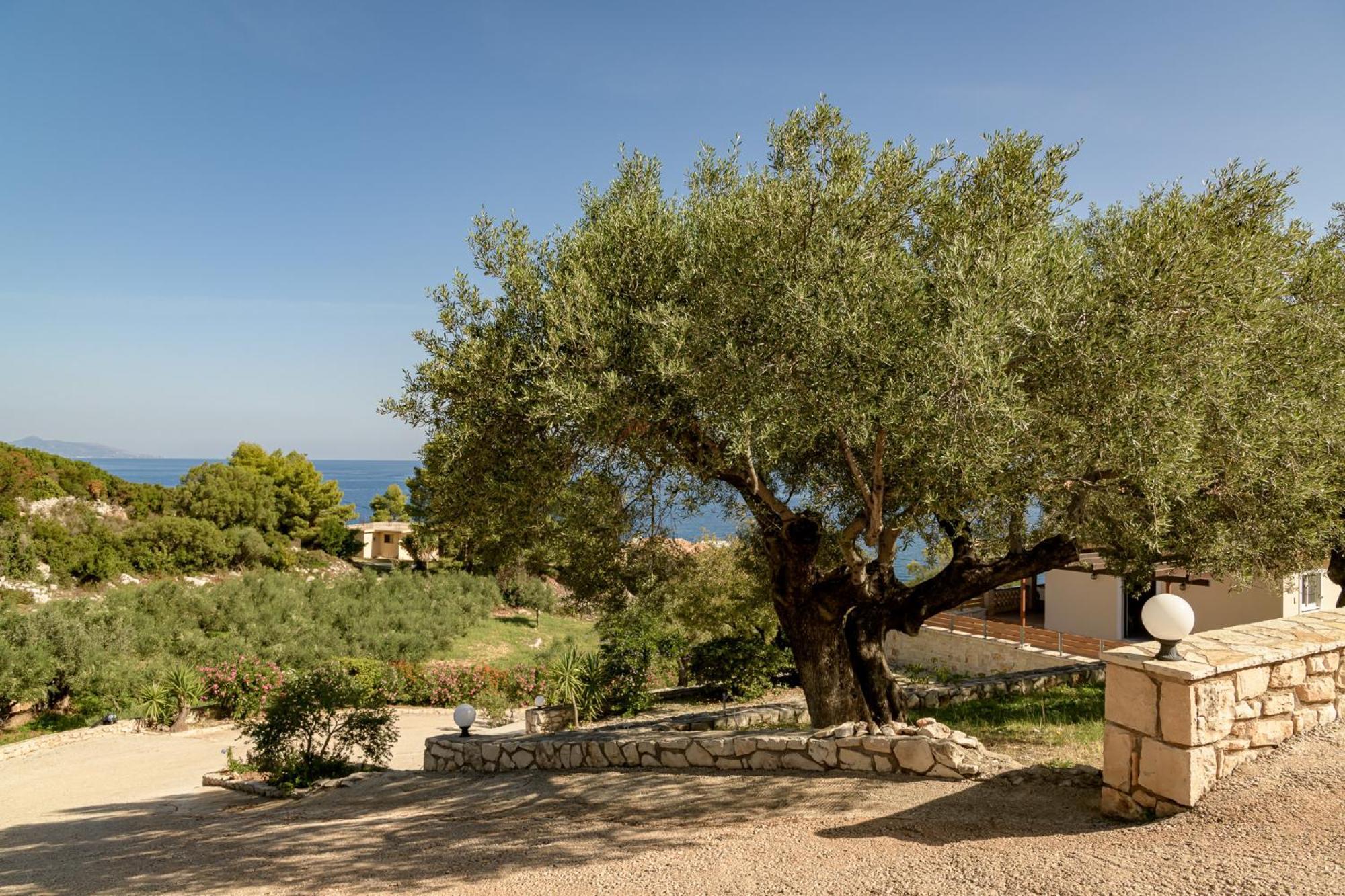 Villa Mare Studios Szkinária Kültér fotó